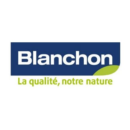 Pâte à bois - finition - pour fissures fines - sans retrait BLANCHON