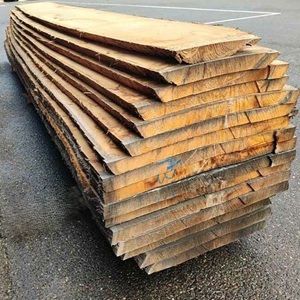 Bois feuillus