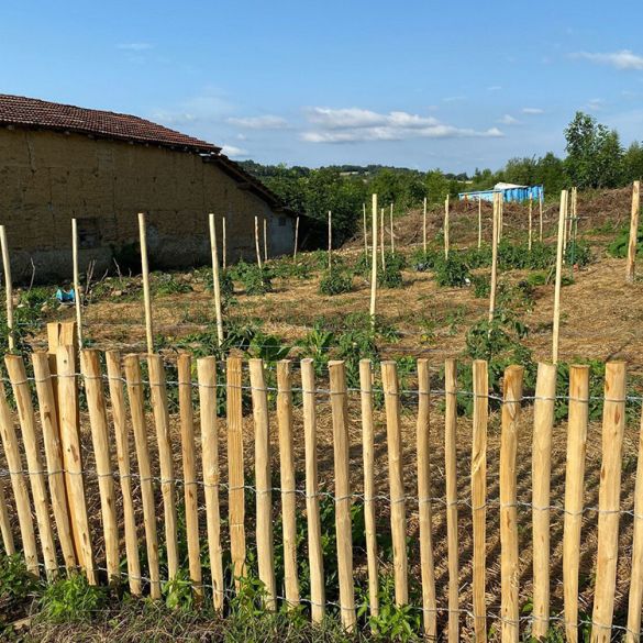 Ganivelle châtaignier fendu Haut. 60 cm - Ecart 5 cm (+/-1) - Non pointé - 10 ml