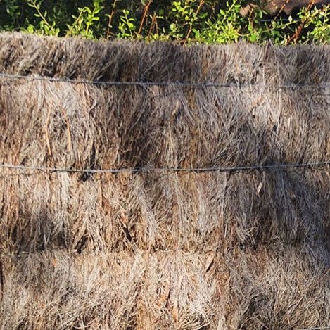 Panneau de brande de bruyère 15 kg/m²  - Hauteur 1,75 m - Longueur 2,00 m