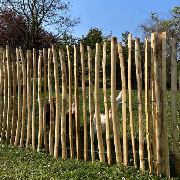 Ganivelle châtaignier fendu Haut. 60 cm - Ecart 5 cm (+/-1) - Non pointé - 5 ml