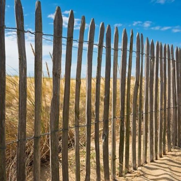 Ganivelle châtaignier fendu Haut. 1,50 m - Écartement 7 cm (+/-1) - Rouleau 5 ml