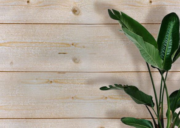 Lambris sapin naturel réversible ATLAS - 1 face rabotée - 2550x140x16 mm