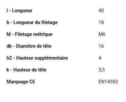 Boulon TRCC avec écrou DIN603 zingué Ø 6x40 mm PGB - Boîte de 200