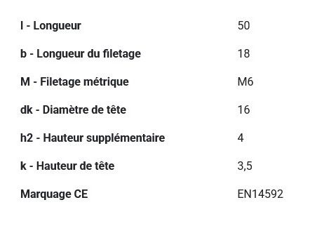 Boulon TRCC avec écrou DIN603 zingué Ø 6x50 mm PGB - Boîte de 200