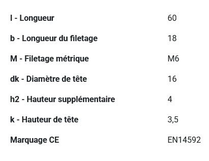 Boulon TRCC avec écrou DIN603 zingué Ø 6x60 mm PGB - Boîte de 200