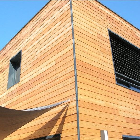 Clin en mélèze non traité 4000x135x21 mm 