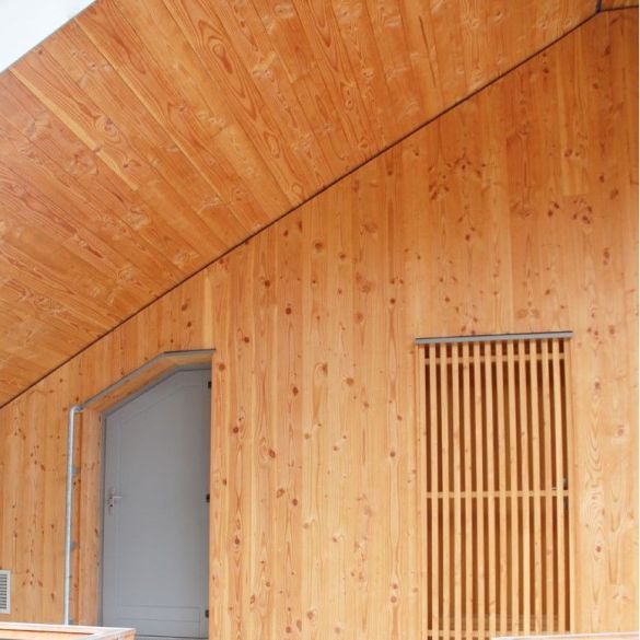 Clin en mélèze non traité 4000x135x21 mm 