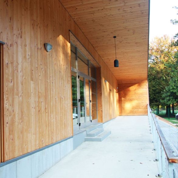 Clin en mélèze non traité 4000x135x21 mm 