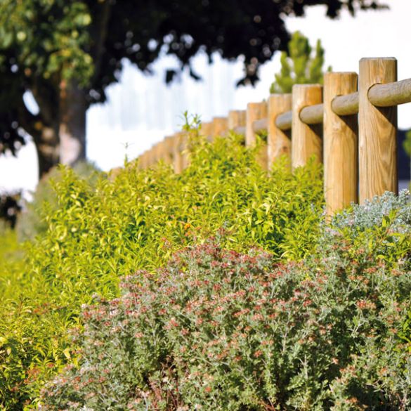 Rondin bois percé 1,50 m Ø140mm pour clôture ranch