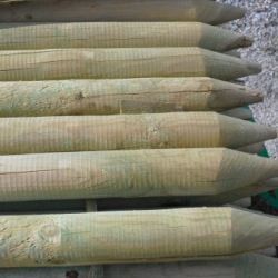 Piquet bois autoclave diam. 120 Long. 2,50m en pin traité Cl.4