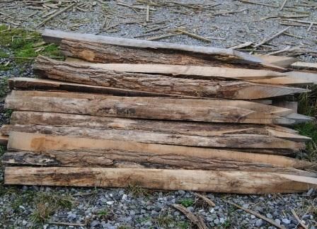 Pieu en acacia fendu Longueur 1,80 m Diamètre 100 mm