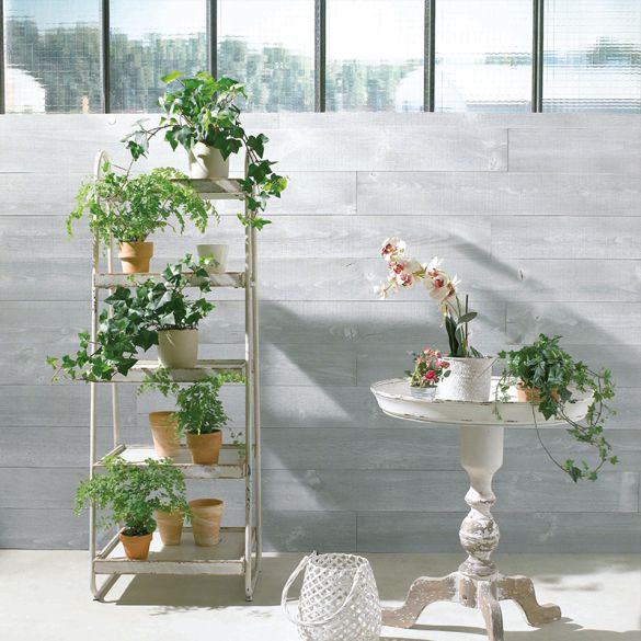 Lame de parement en Pin maritime Aurore 2400x147x15 mm brut de sciage