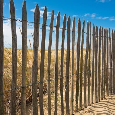 Ganivelle châtaignier fendu H. 1,50 m Long. 5 ml - Écartement 4/5 cm