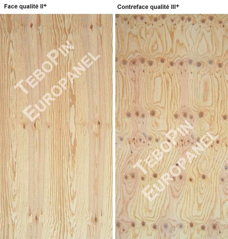 Contreplaqué CTBX Pin maritime Europanel Ép. 12 mm 250x125 cm - Choix II+/III+ TEBOPIN