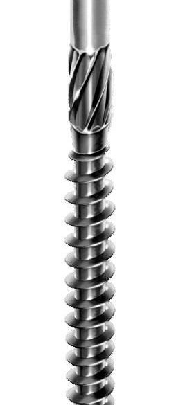 Vis terrasse petite tête fraisée A2 inox Ø5x60 mm + Embout Tx25 - Bte 200 vis