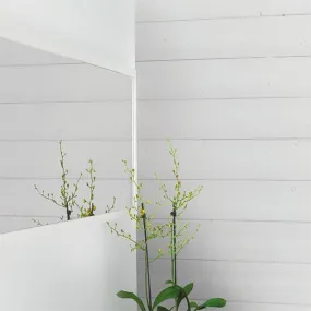 Lambris Sapin Brossé Blanc Polaire KINNA 12x135x2350 mm - SILVERWOOD