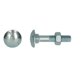 Boulon TRCC avec écrou DIN603 zingué Ø 8x60 mm PGB - Boîte de 200