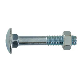 Boulon TRCC avec écrou Ø 10x100 mm - acier zingué - Boîte de 50